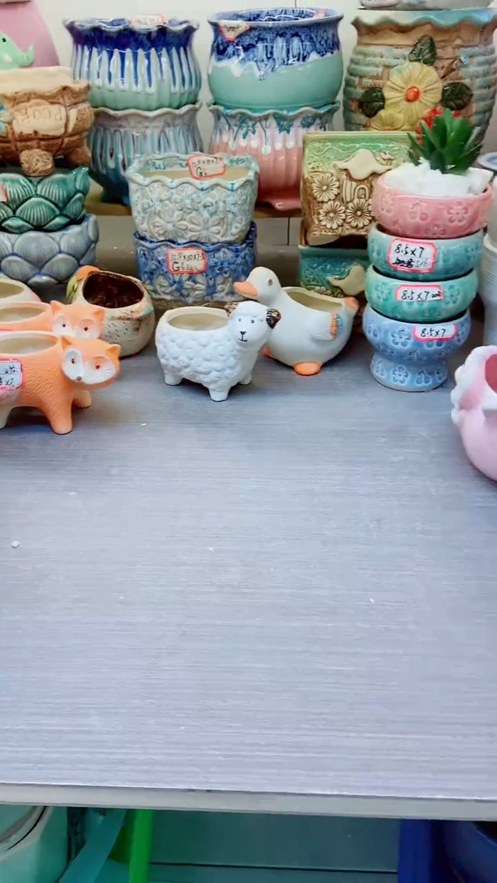 【闪购商品】陶瓷@@84+73