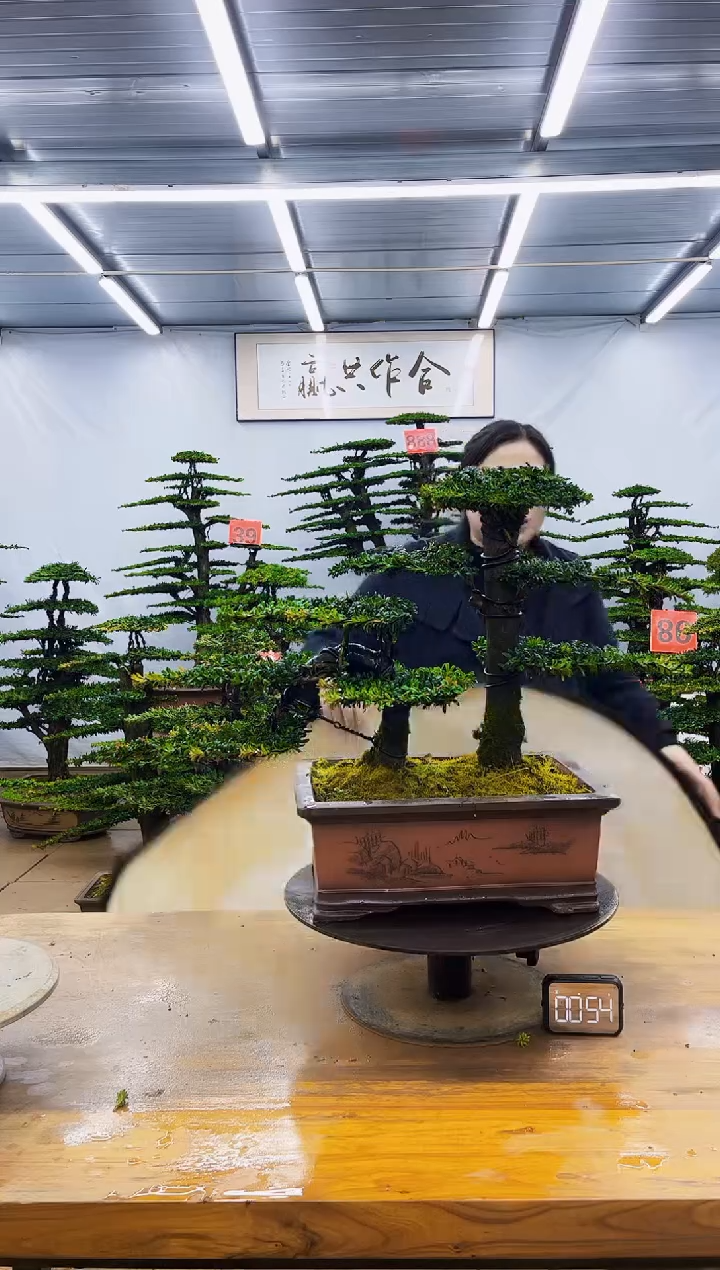 无花朵一物一拍，所见即所得