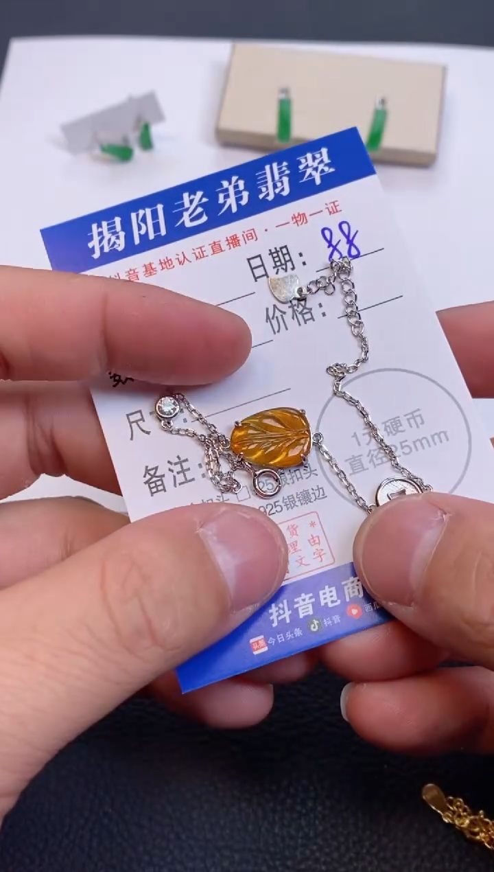 【闪购商品】翡翠颈饰银S925镶嵌多样性发其中一件