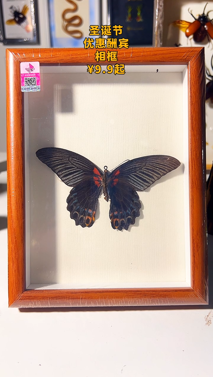 有机玻璃6678866666