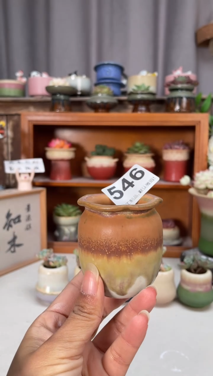 瓷片546小芳直播编号