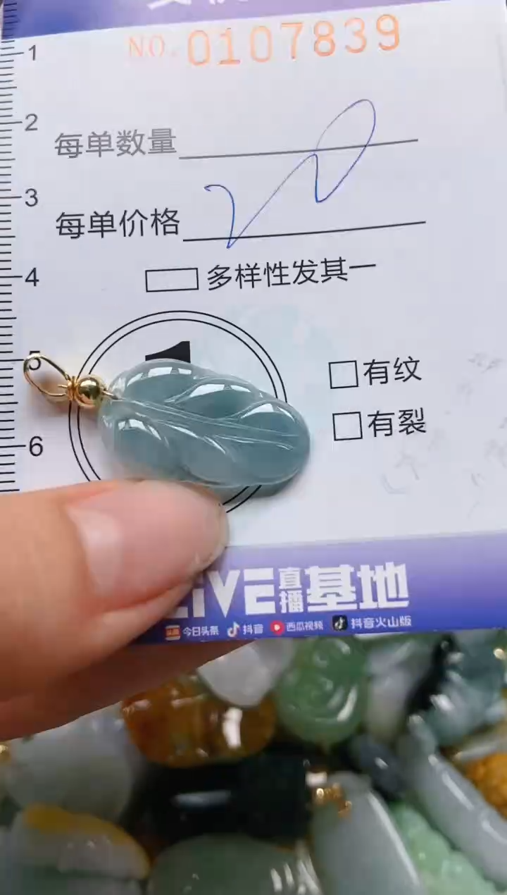 【闪购商品】翡翠颈饰未镶嵌闪购0107839