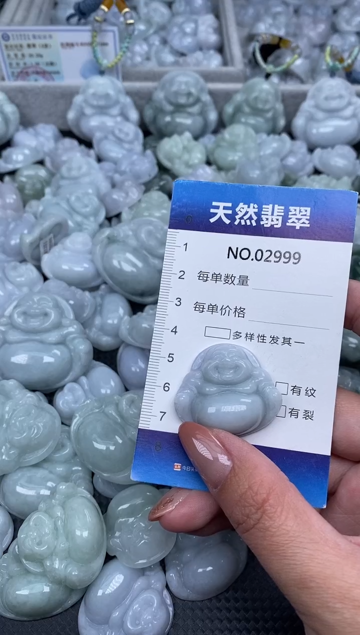 颈饰未镶嵌翡翠纯天然A货翡翠2999