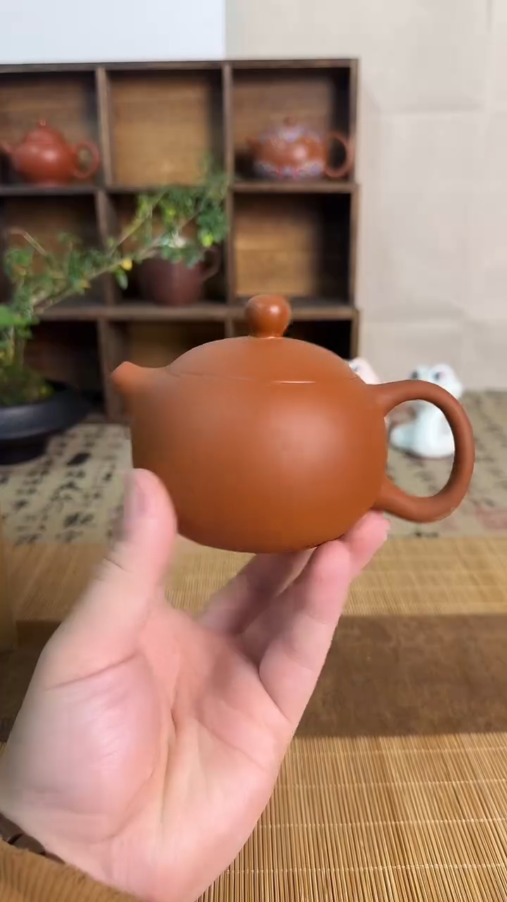 【闪购商品】紫砂茶壶1212121212112121
