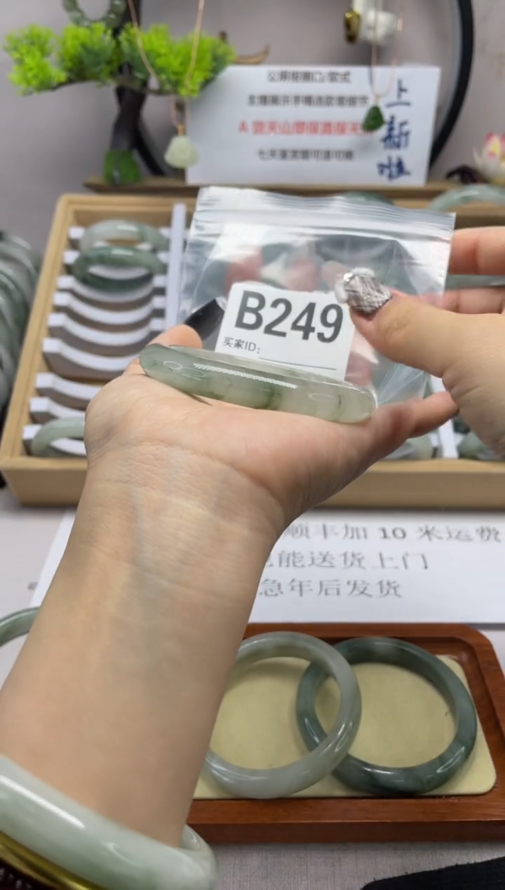【闪购商品】石英质玉（天山翠）手镯未镶嵌b249