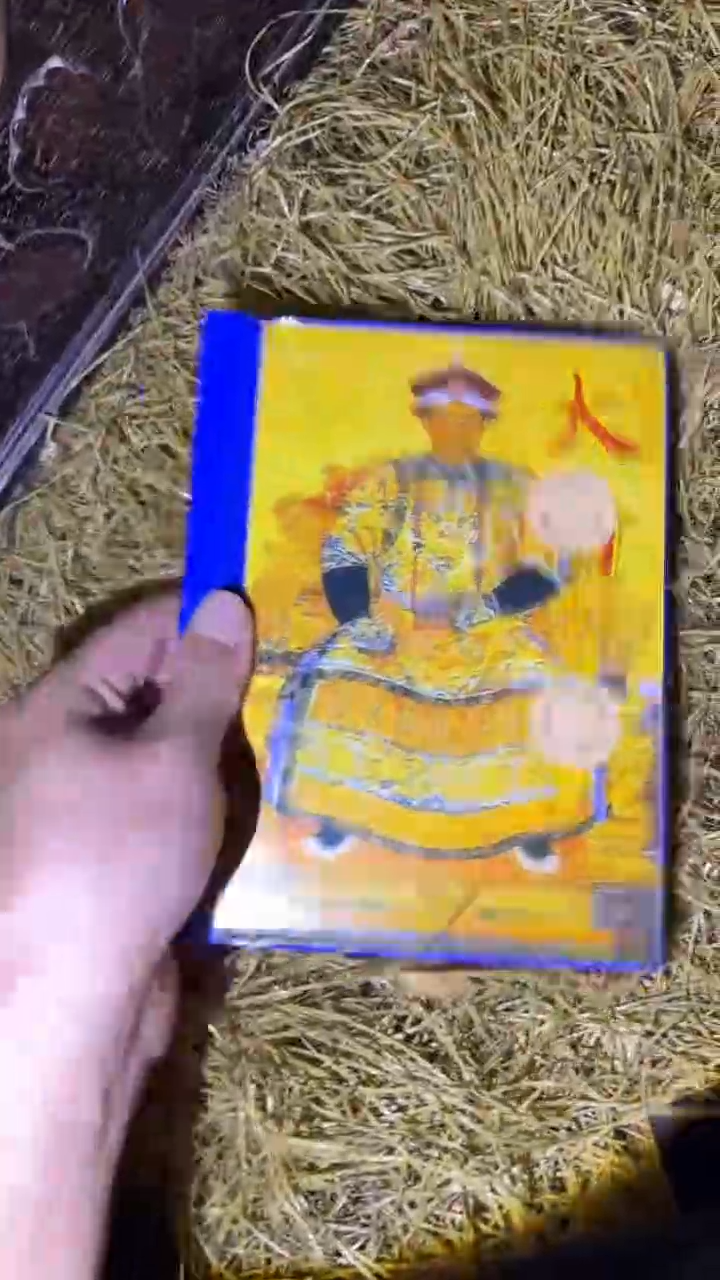 琪琪专属精品链接