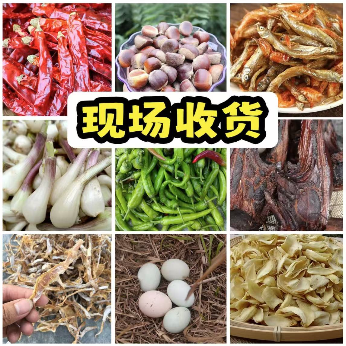 湘西赶集高山瓜果蔬菜农产品