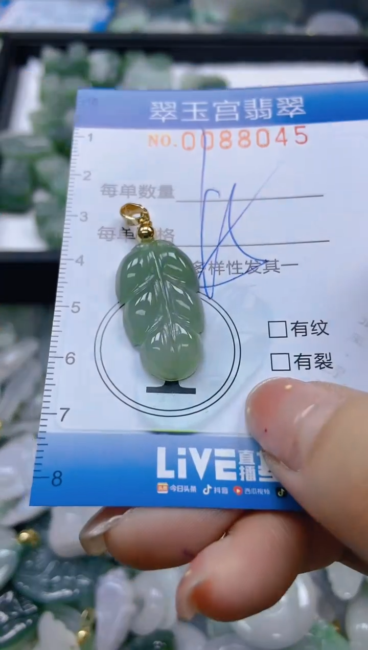 【闪购商品】翡翠颈饰未镶嵌闪购0088045