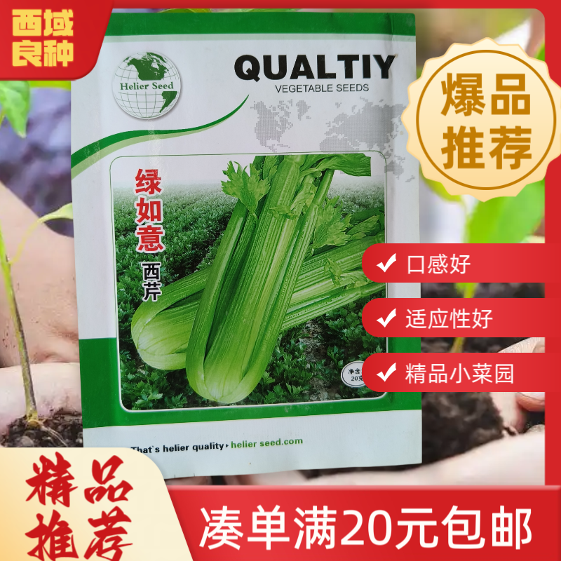 芹菜种子实芹，毛芹，西芹香味浓嫩脆速生优质高纯度纤维少