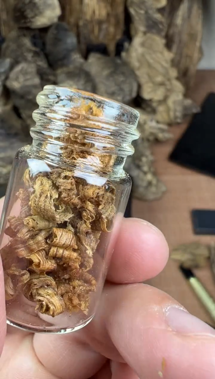 【闪购商品】沉香沉香碎屑越南芽庄都蓬勾丝0.5g