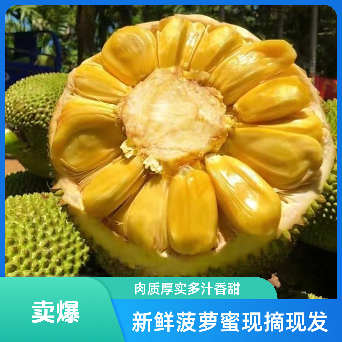 【半果菠萝蜜6斤以上】现开半果菠萝蜜 去心方便吃 奶香红肉菠萝蜜（半果一物一拍）