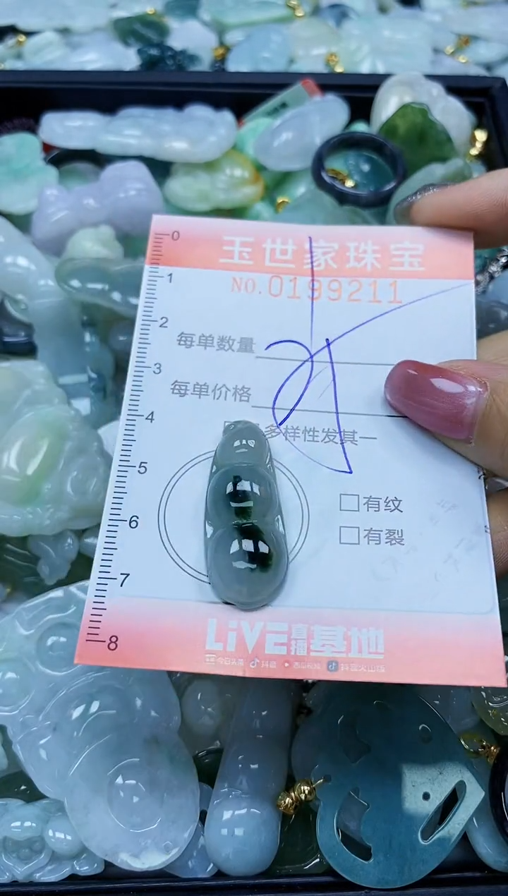 【闪购商品】翡翠颈饰未镶嵌闪购0199211