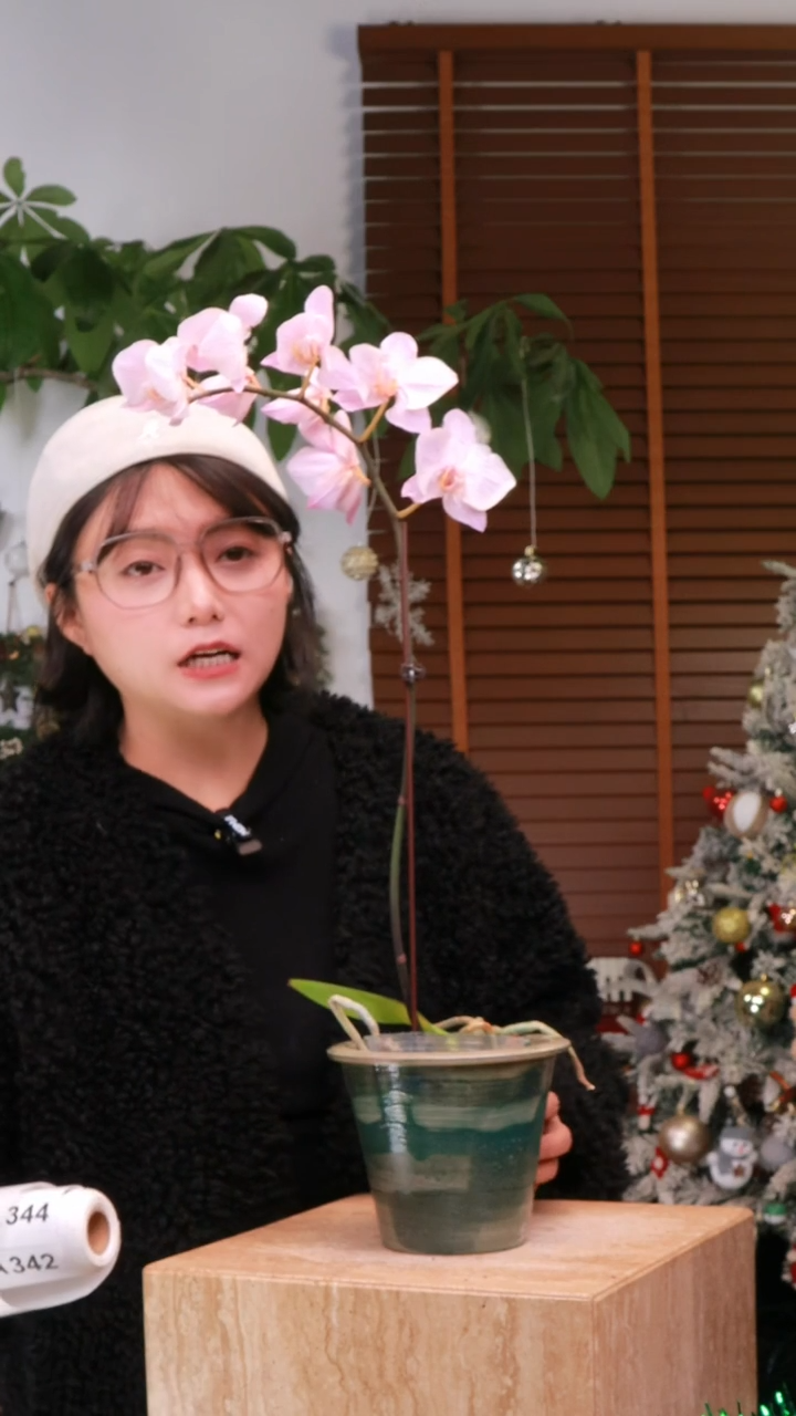 狍*?【花漾多】景德镇手工盆盆包邮A335