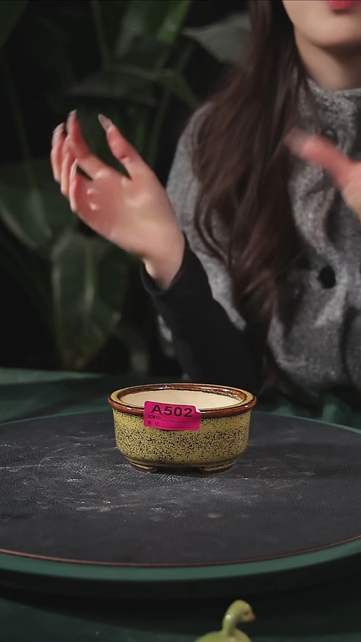 【石湾花盆】掌中宝502