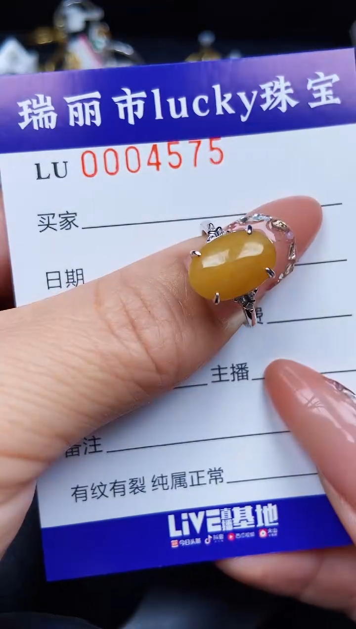 翡翠银S925镶嵌颈饰4575