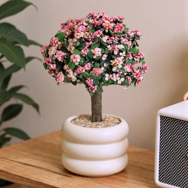 【金枝玉叶】云南盆栽鲜花 云南直发 包邮