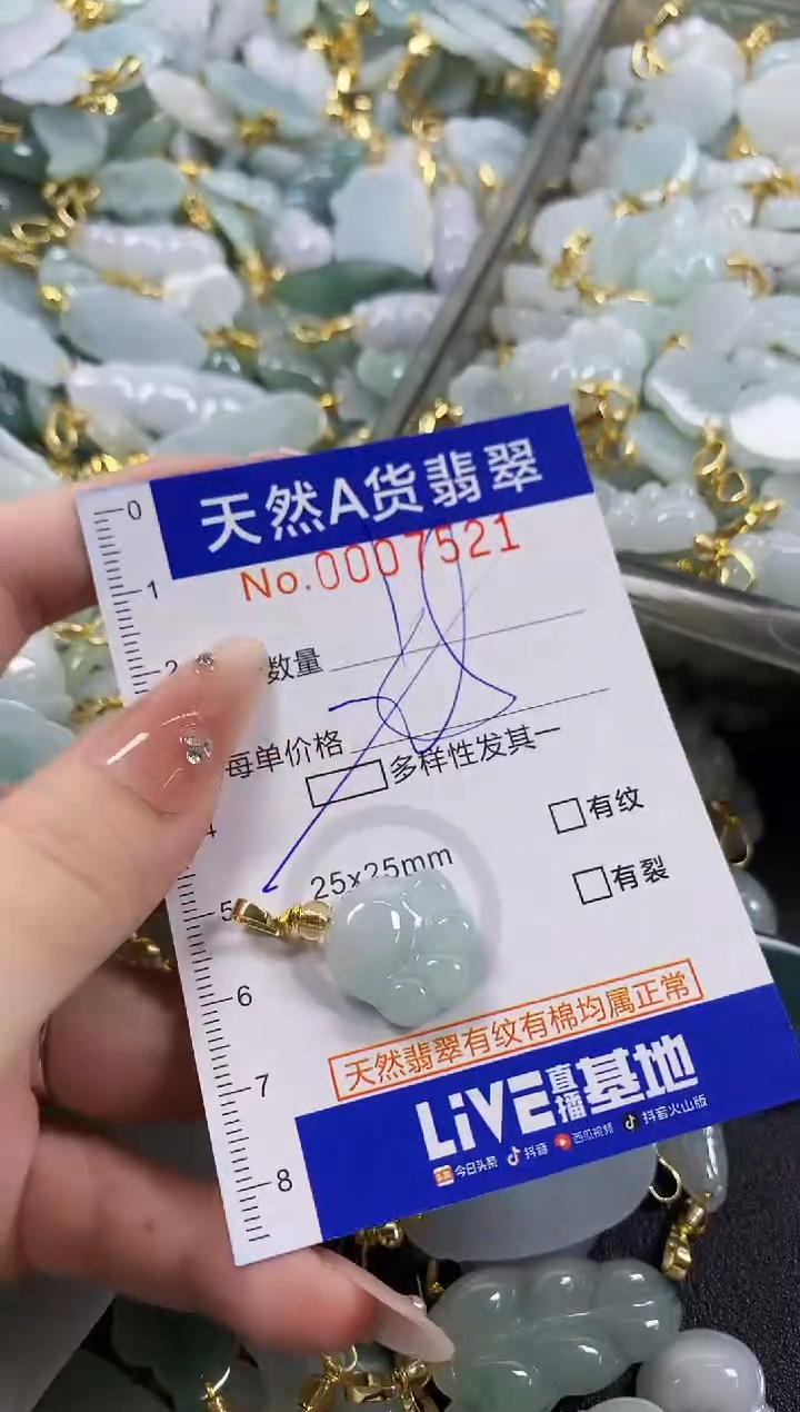 颈饰未镶嵌翡翠天然A货翡翠