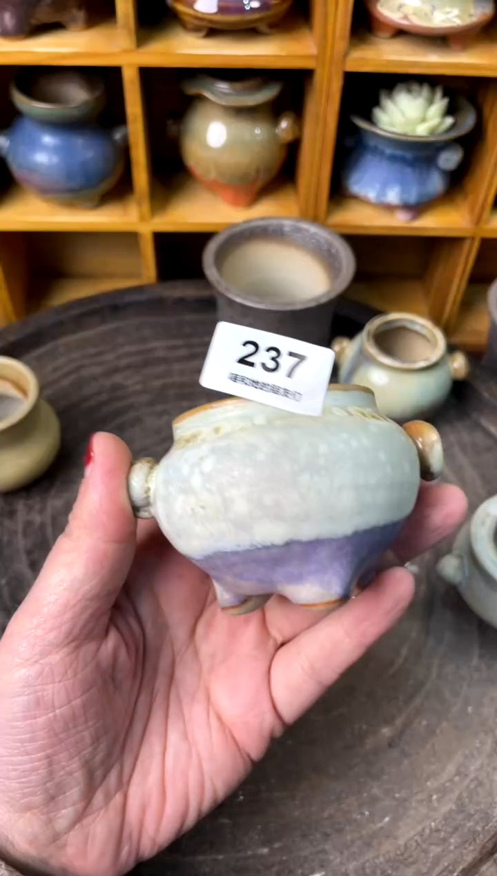 【闪购商品】陶237 内口5
