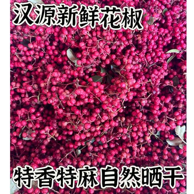 四川雅安汉源花椒又香又麻现摘现发自做花椒油花椒粉干花椒