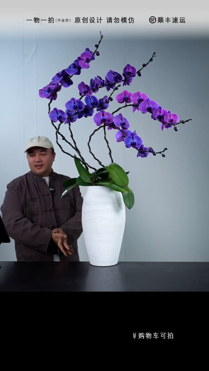 【闪购商品】009号链接【一物一拍】艺术盆景