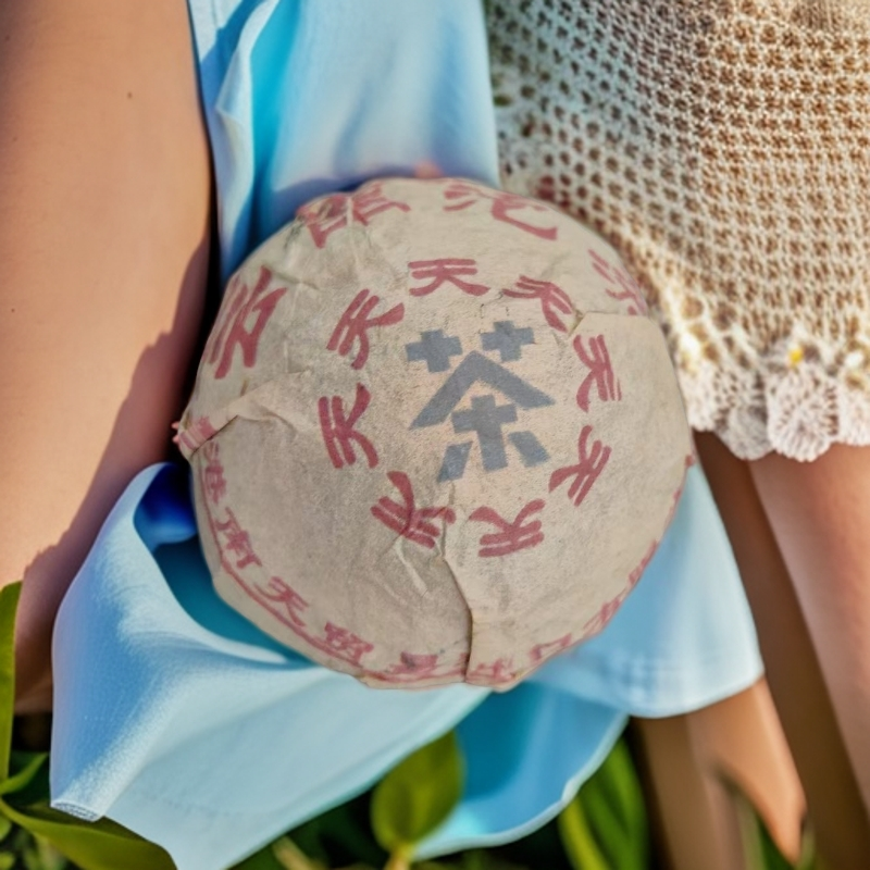 LG466-南天贸易出口沱茶 生茶100g