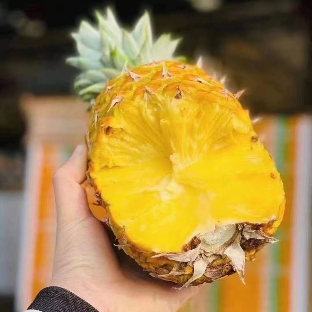 顺丰明天到，佳nong菲律宾蜂蜜凤梨水果一份2个6.5-7斤左右黑钻凤梨菲律宾共和国
