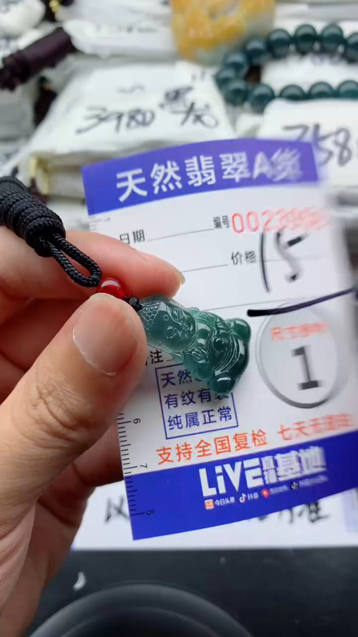 翡翠未镶嵌颈饰00000000