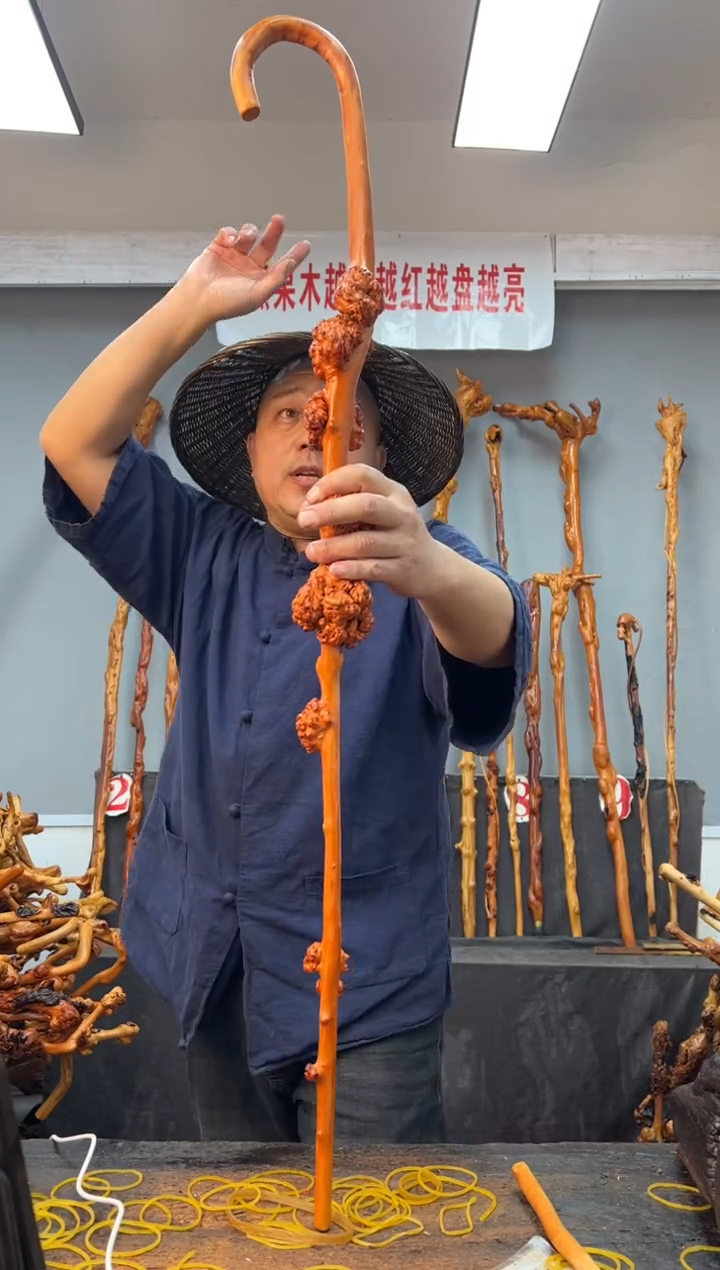 【闪购商品】黑果木其他黑果木401