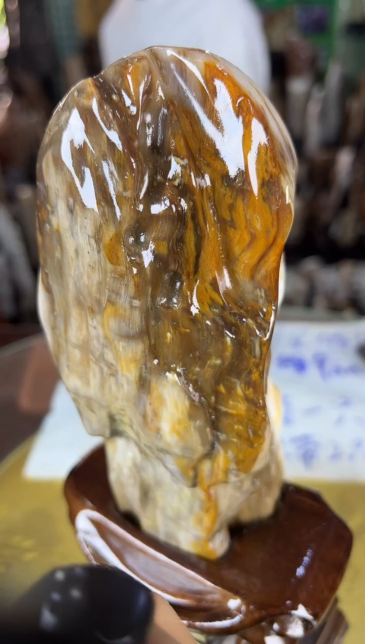 未镶嵌珠宝奇石硅化玉缅甸天然树化玉精品居家摆件