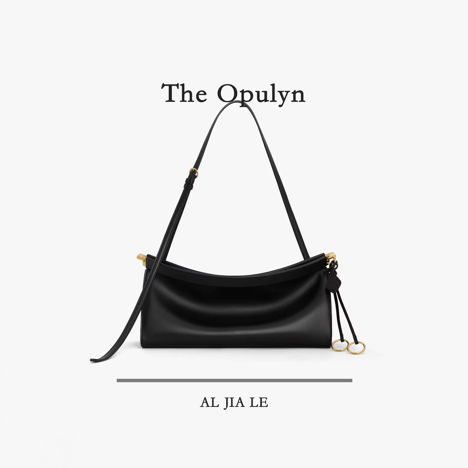 ALA中号黑色独家定制五金+头层牛皮手拎单肩+斜挎