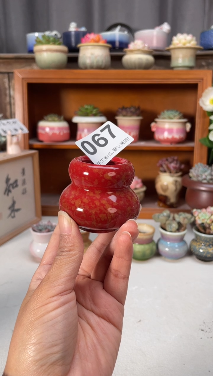 瓷片和****族067知木小芳花盆