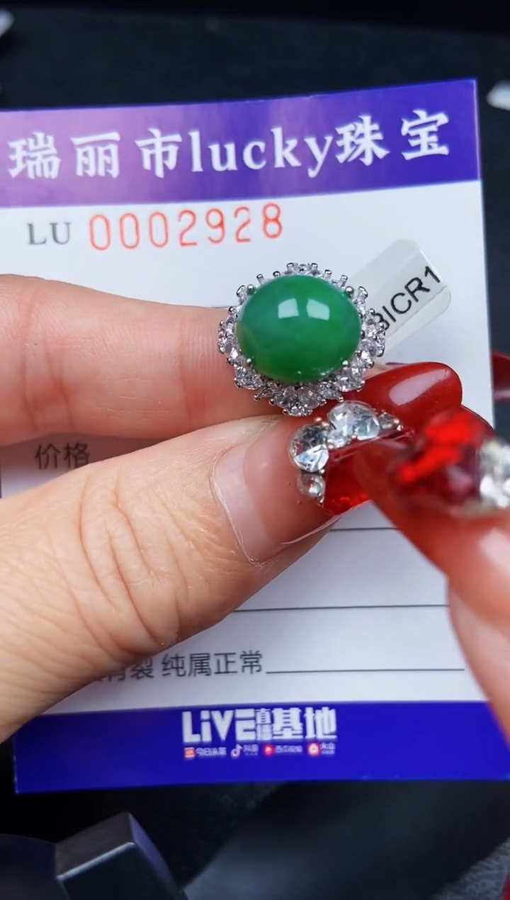 【闪购商品】翡翠颈饰银S925镶嵌2938