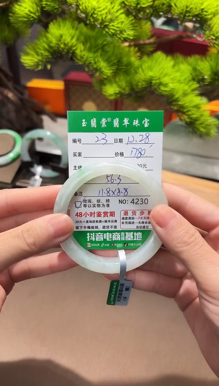 未镶嵌手镯翡翠翡翠23