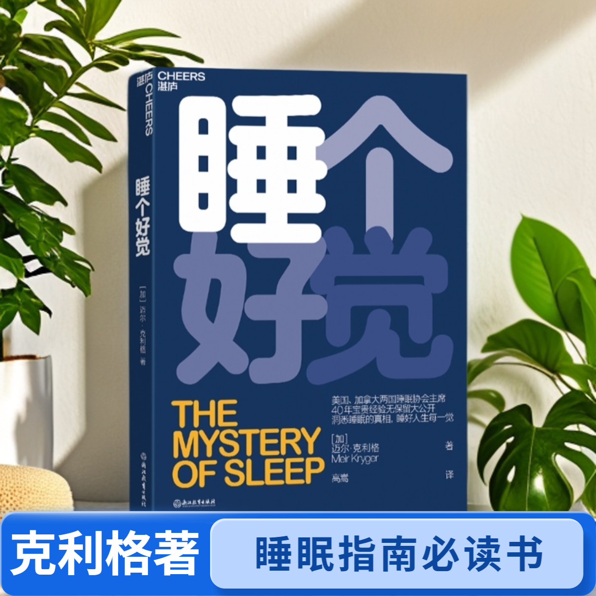 睡个好觉  这本书让你睡好每一觉，精力充沛，躺赢人生！