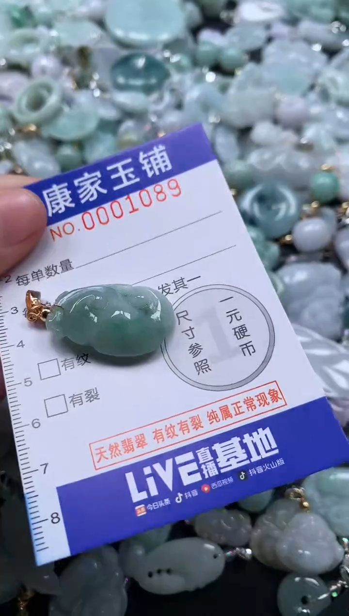 颈饰未镶嵌翡翠1089