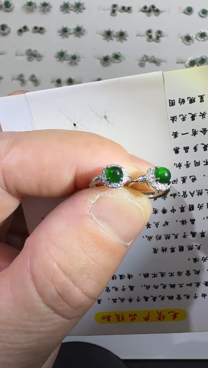 【闪购商品】翡翠耳饰银S925镶嵌00061384