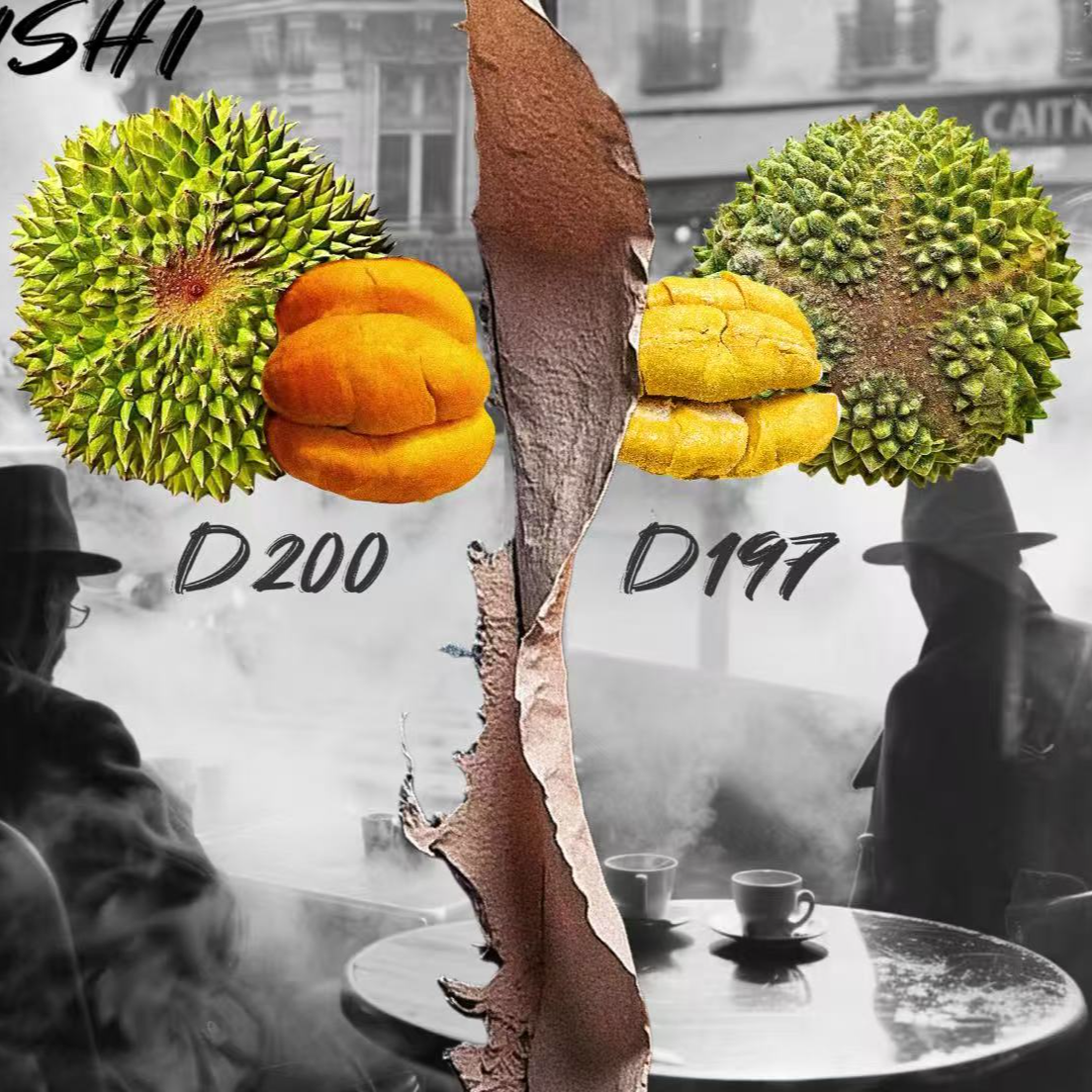 黑猫组合整果各一粒（液氮）猫山王黑刺马来西亚