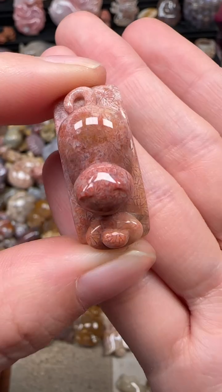 颈饰未镶嵌硅化珊瑚（珊瑚玉）647