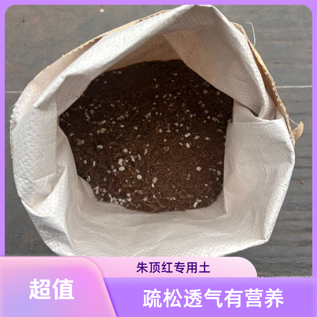【进口泥炭土】 朱顶红专用，疏松透气