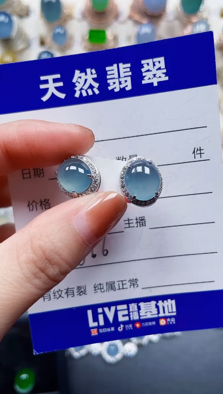 银S925镶嵌翡翠耳饰666