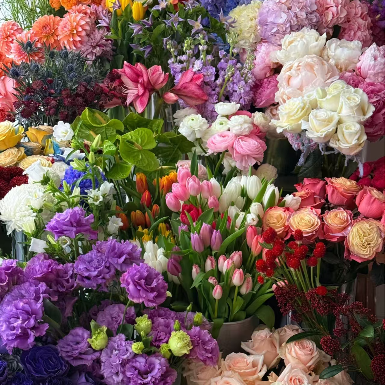 一物一拍，禾韵山东顺丰包邮