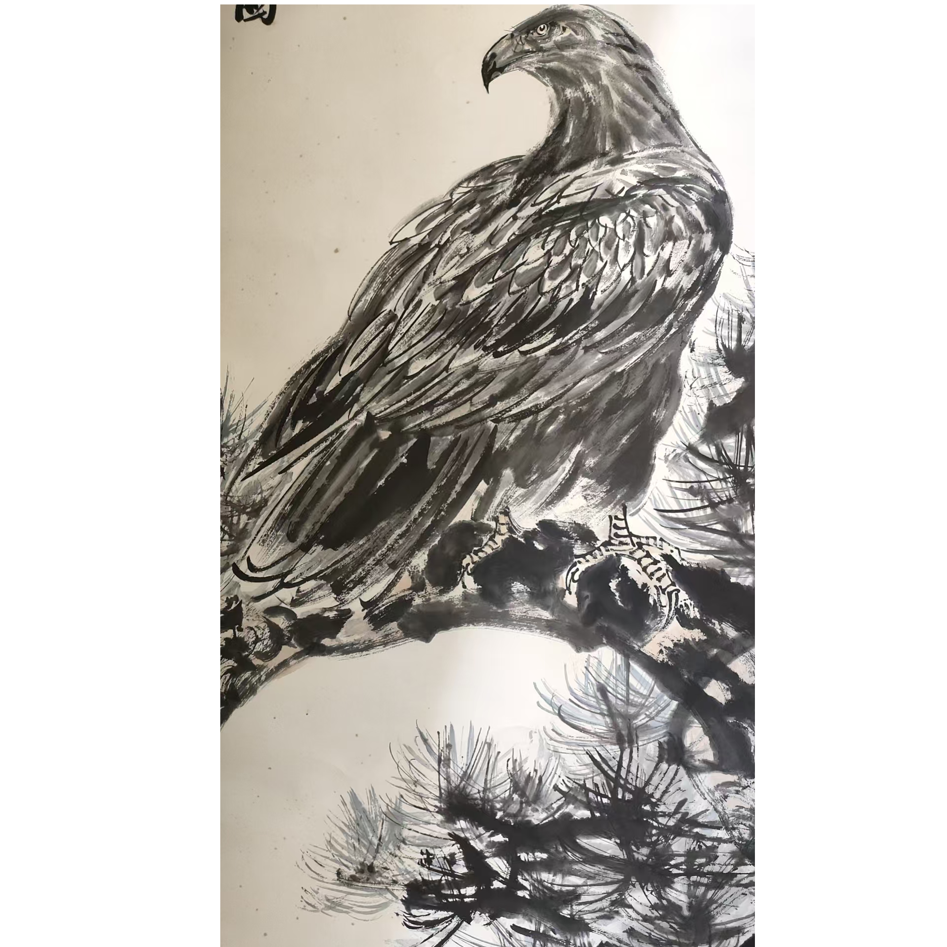 黄     老鹰立轴138/67