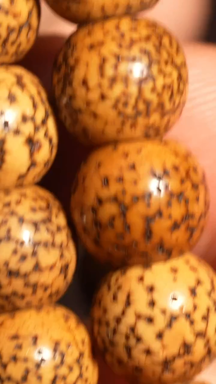 冲赛康胡子哥，藏传念珠77