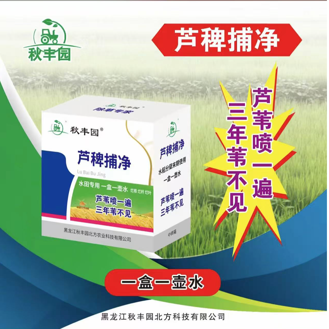 秋丰园（水田）芦稗捕净：芦苇全废。