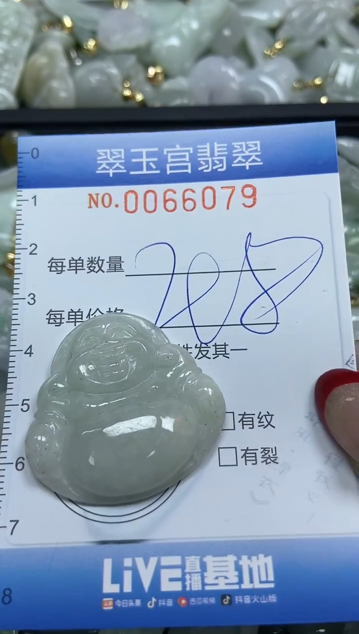 【闪购商品】翡翠颈饰未镶嵌闪购0066079