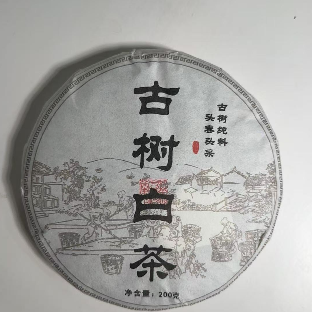 MK1033号 2025年{春}古树白茶邦东片区古树普洱白茶饼200g8-24日