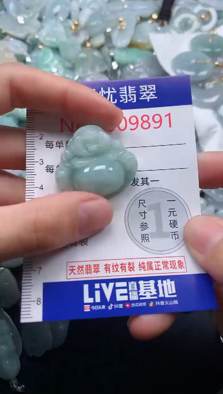 颈饰未镶嵌翡翠9891