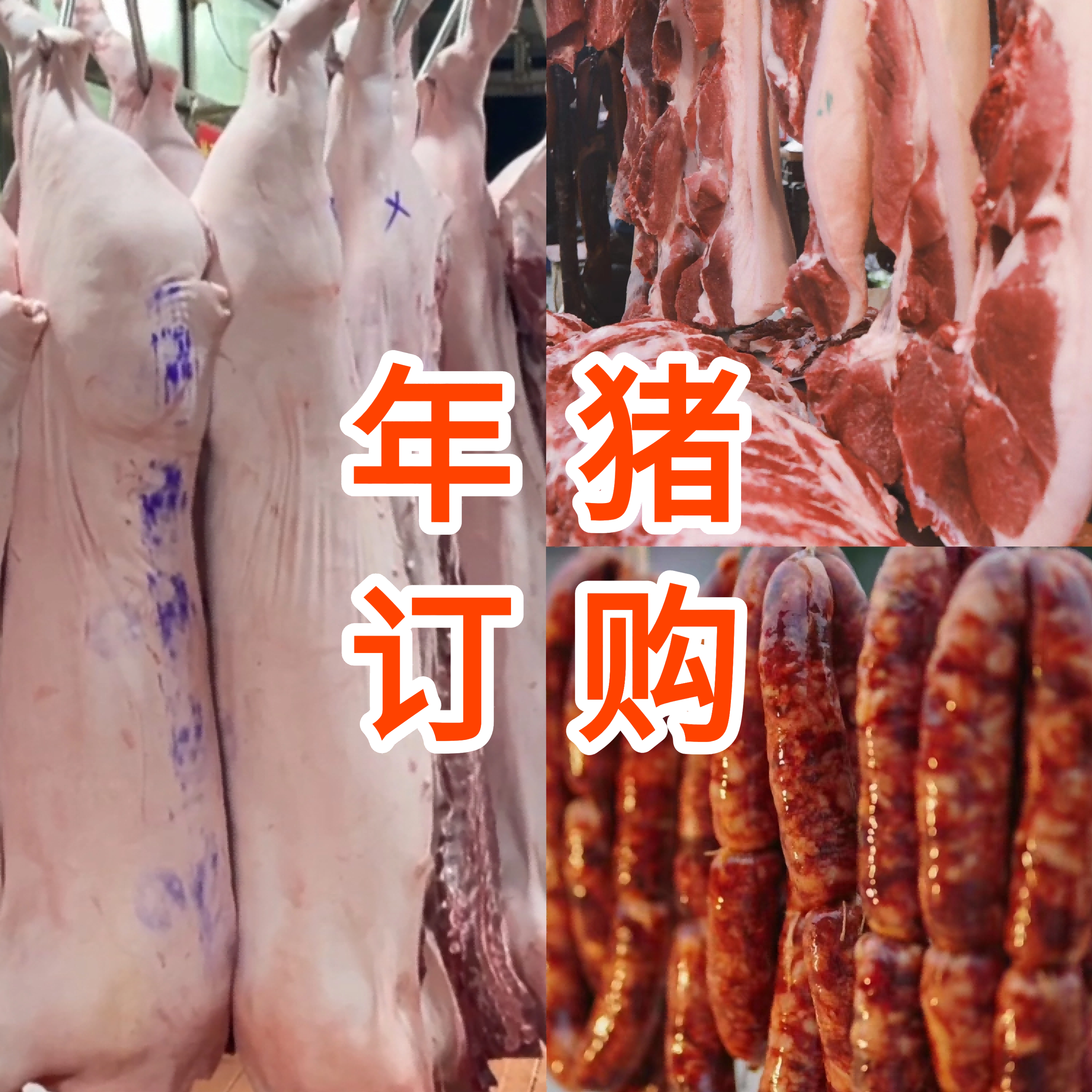 年猪订购 价格预览（毛白条/黑猪毛白条、白猪前夹/后座/五花/排骨等）