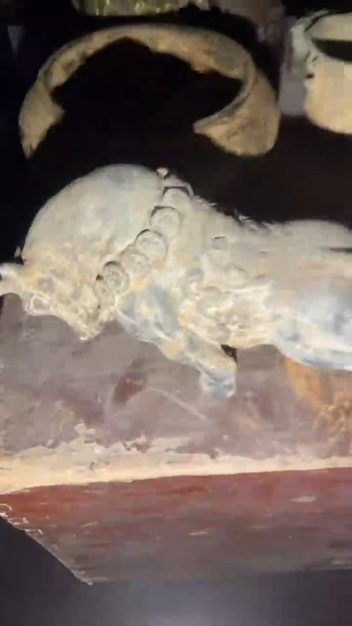 老物件孤品闪拍链接