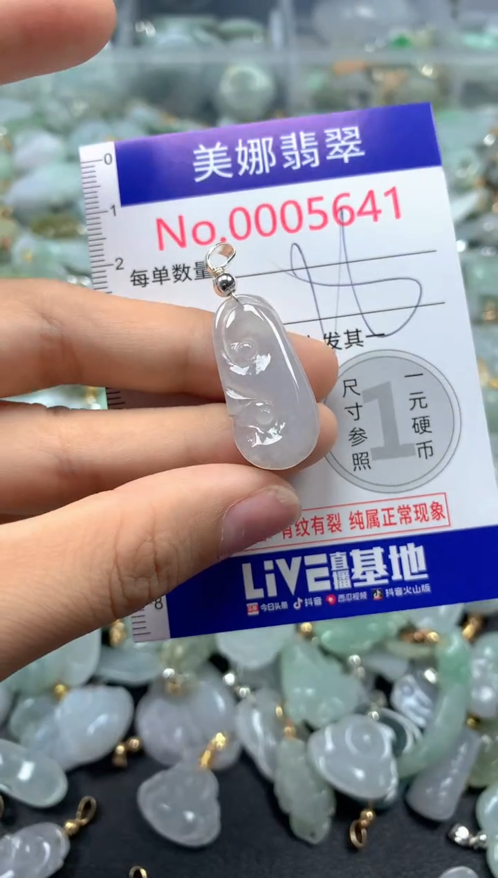 颈饰未镶嵌翡翠5641
